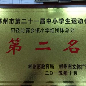 2015年荣誉证书