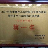 2017廊坊市校园足球联赛第一名